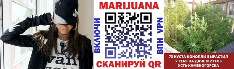 Где найти наркотики Георгиевск Cocaine  ГАШИШ  Бошки Шишки 