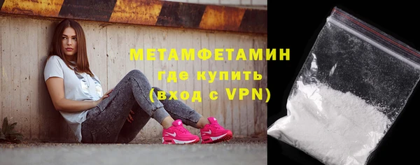 прущие грибы Верхний Тагил