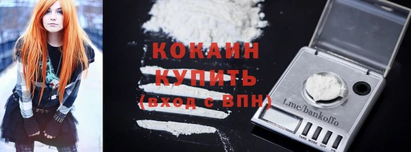 прущие грибы Верхний Тагил