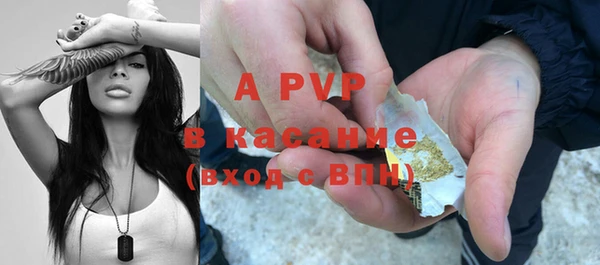 прущие грибы Верхний Тагил
