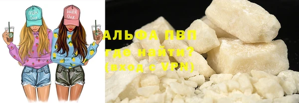 индика Волоколамск
