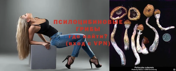 прущие грибы Верхний Тагил