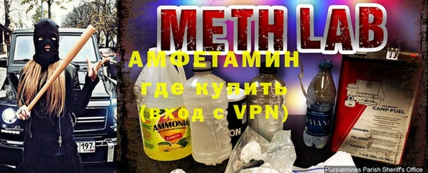 прущие грибы Верхний Тагил