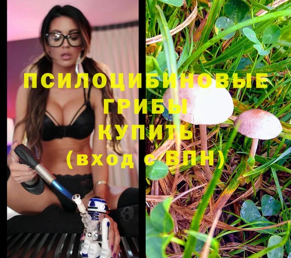 гашик Володарск