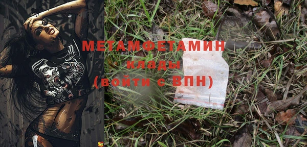 прущие грибы Верхний Тагил