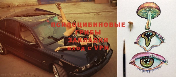 индика Волоколамск