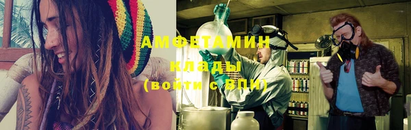 прущие грибы Верхний Тагил