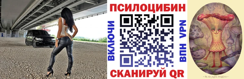 Галлюциногенные грибы MAGIC MUSHROOMS  как найти закладки  Георгиевск 